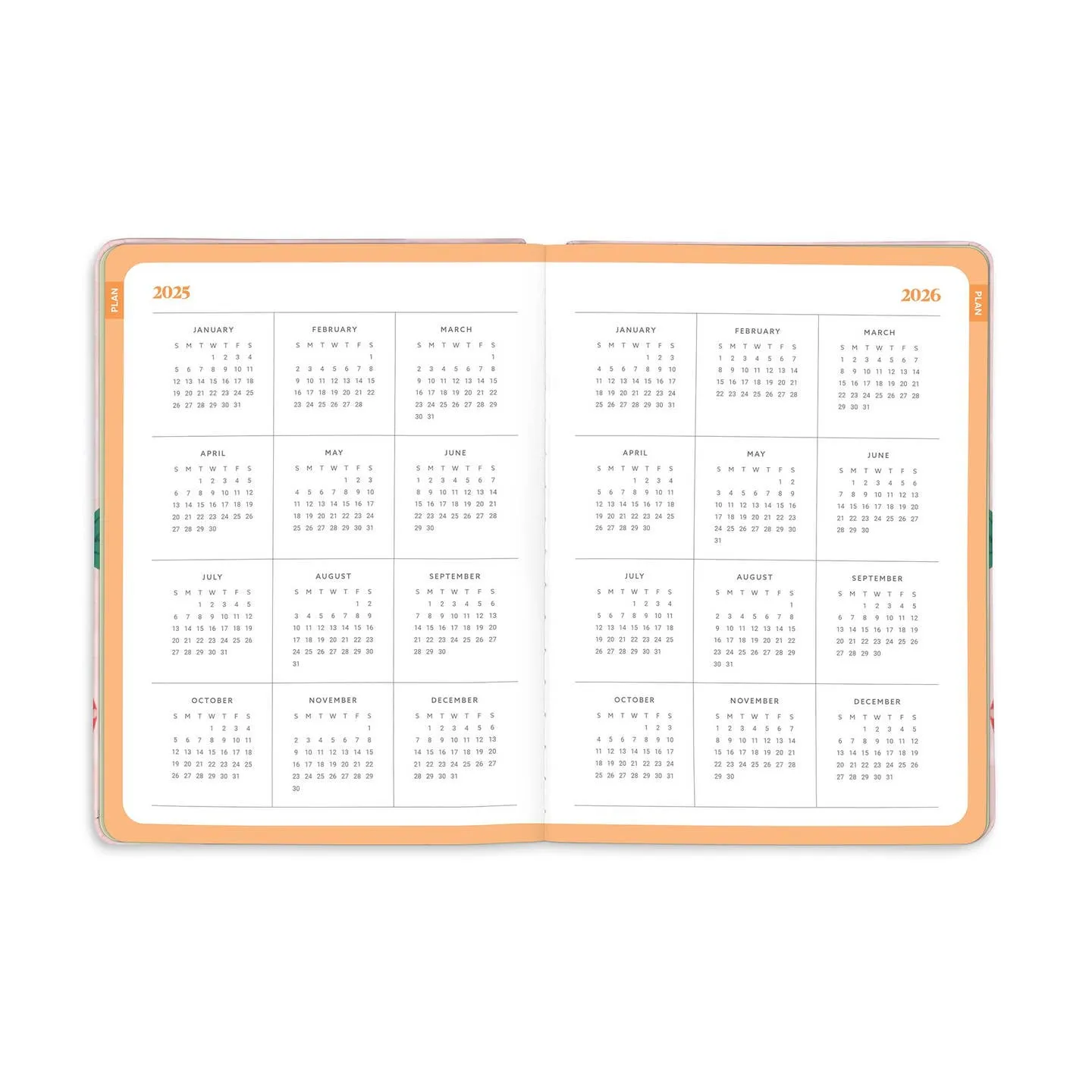 2026 Strawberry Love Good Day Planner - 17 Months vintage