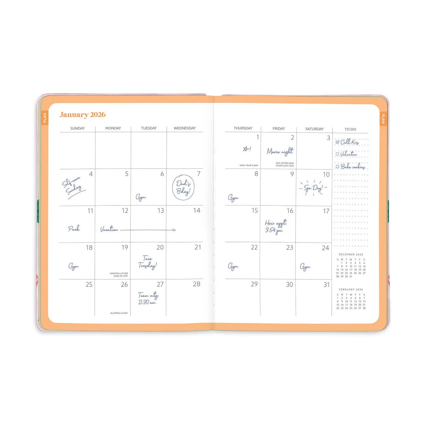 nonslip neutral 2026 Strawberry Love Good Day Planner - 17 Months