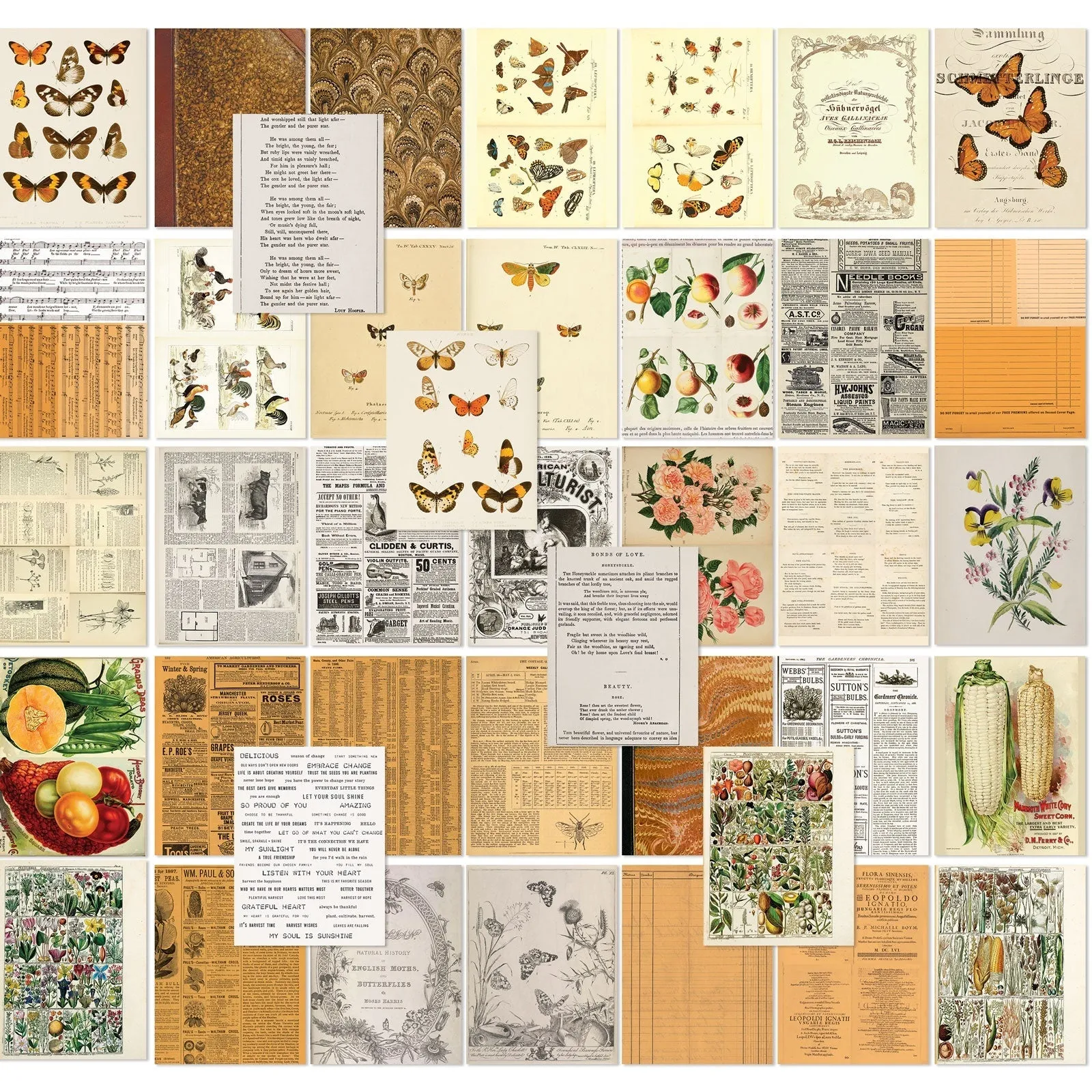 expandable tall 49 And Market -  Collage Sheets  -  Color Swatch Peach