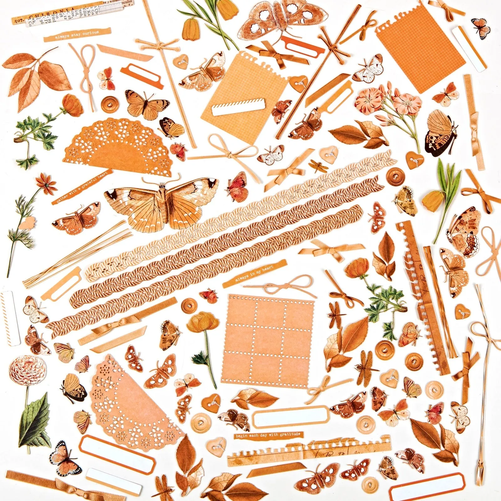 49 And Market Laser Cut  Elements  -  Peach glossy