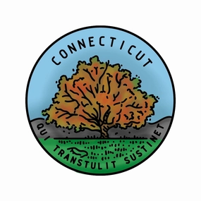 50 States Circles - 2X2 Stamp Set - Connecticut small