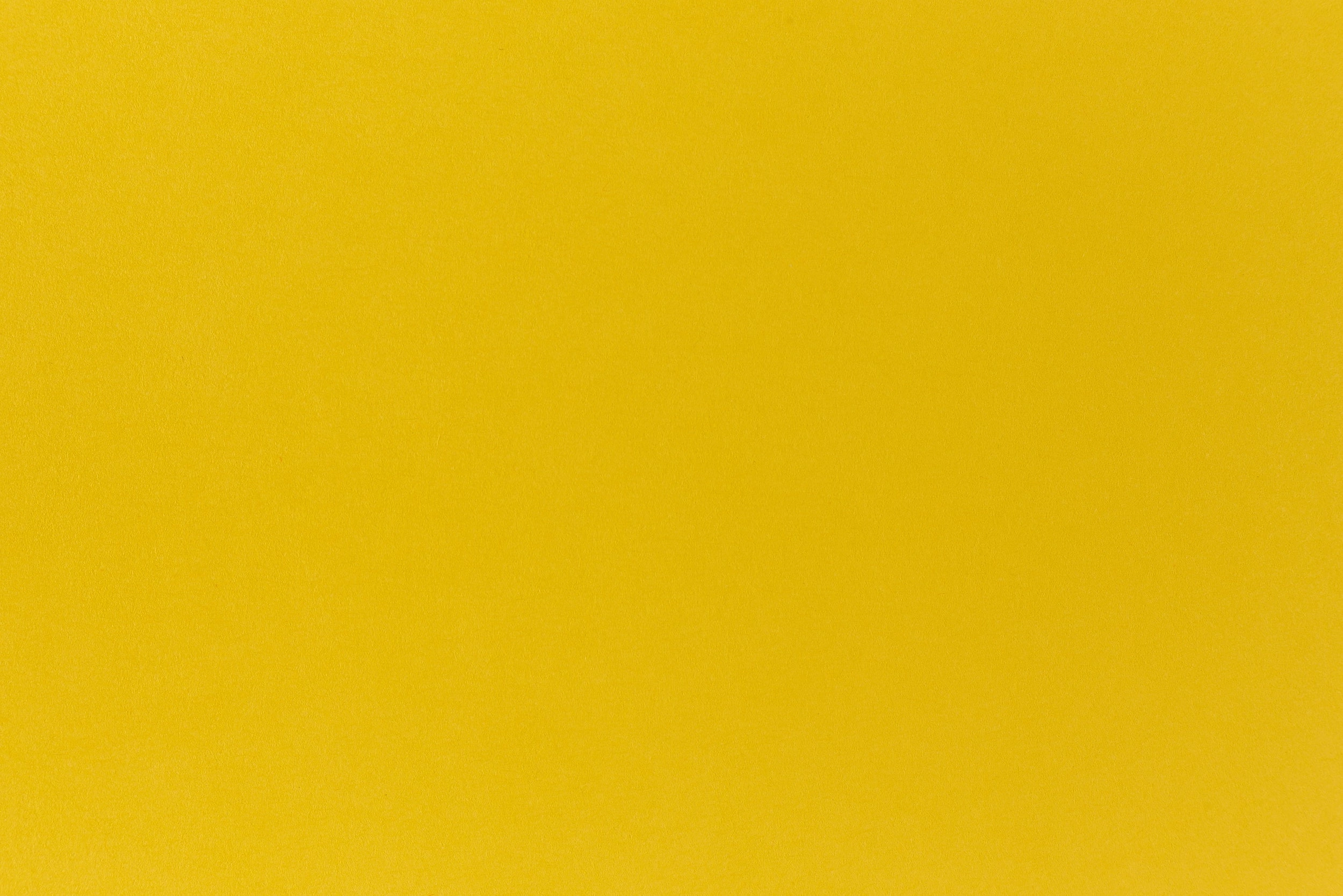 Sun Light Cardstock (Glo-Tone, Cover Weight) portable maxi