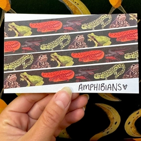 Amphibians Washi Tape refined