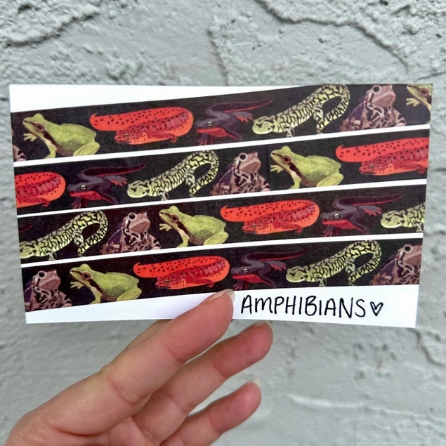 Amphibians Washi Tape wide single