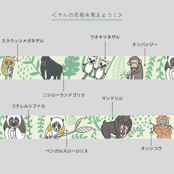 robust versatile Forest Meeting Washi Tape