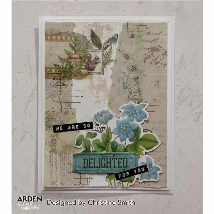 shiny multipack Arden Creative Studio Maker Series Ledger Wings 01 4 In X 6 In Clear Stamp Set