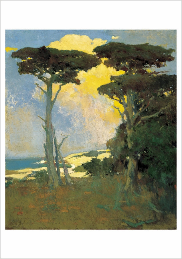 Arthur F. Mathews Cypresses Boxed Assorted Note Cards