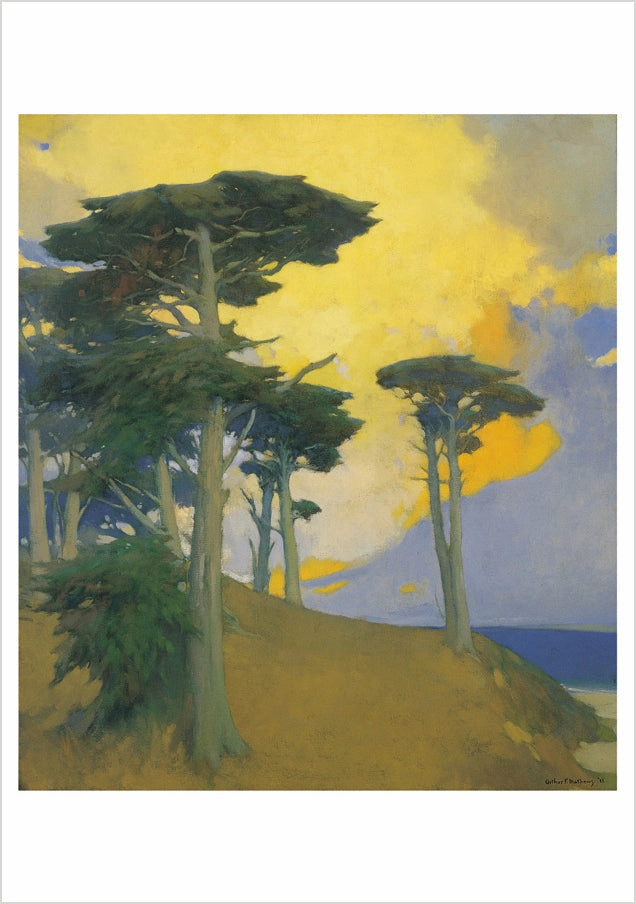 Arthur F. Mathews Cypresses Boxed Assorted Note Cards