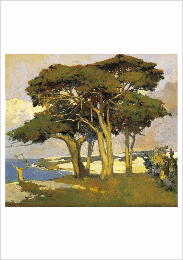 Arthur F. Mathews Cypresses Boxed Assorted Note Cards