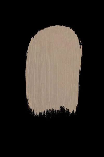 daily popular Colour - Dove Gray Paint