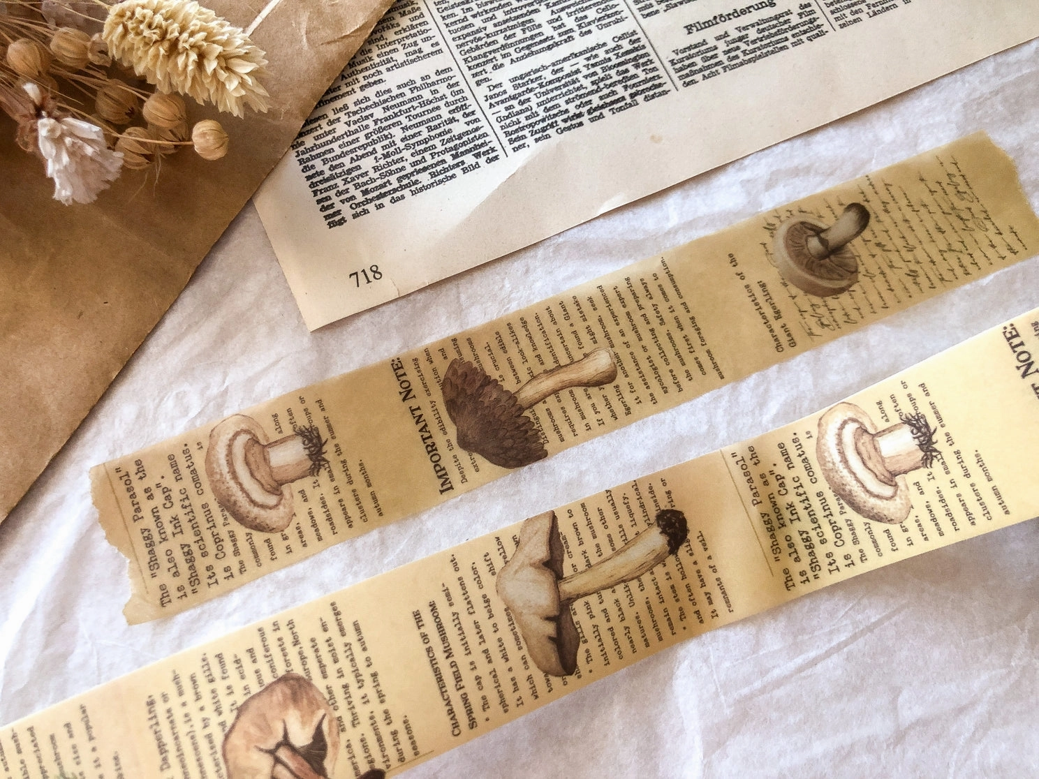 gift Autumn Mushroom Vellum Tape