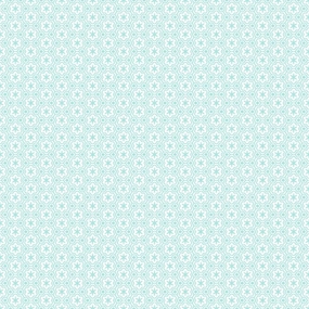 Azure Patterned Cardstock (Mod-Tone, Cover Weight) boxed locking