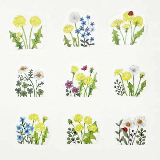 Bande Sticker Roll - Dandelion Field versatile exclusive