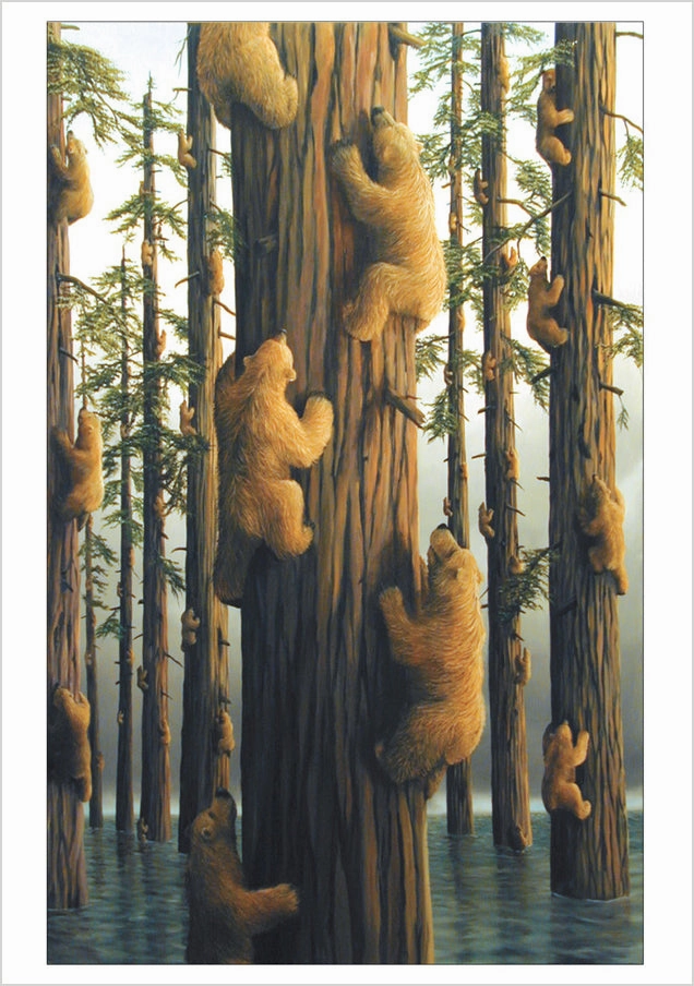 Bears by Bissell - Boxed Assorted Note Cards
