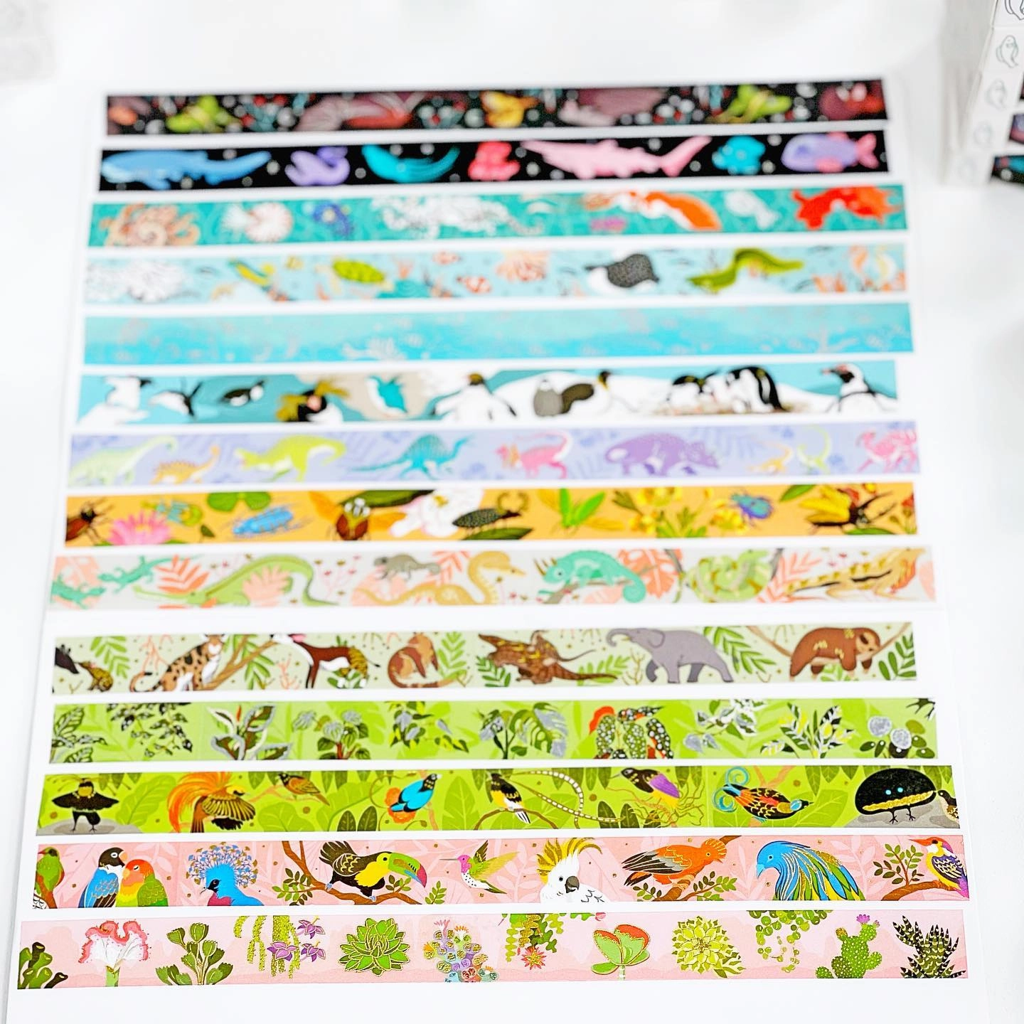 Beetle Washi Tape Shoal portable
