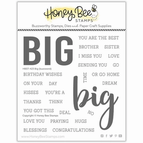 Big Buzzword - 5X5 Stamp Set - Retiring flexible thin