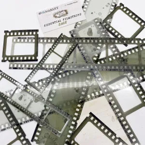 49 And Market Essential Film Strips - Sage retro