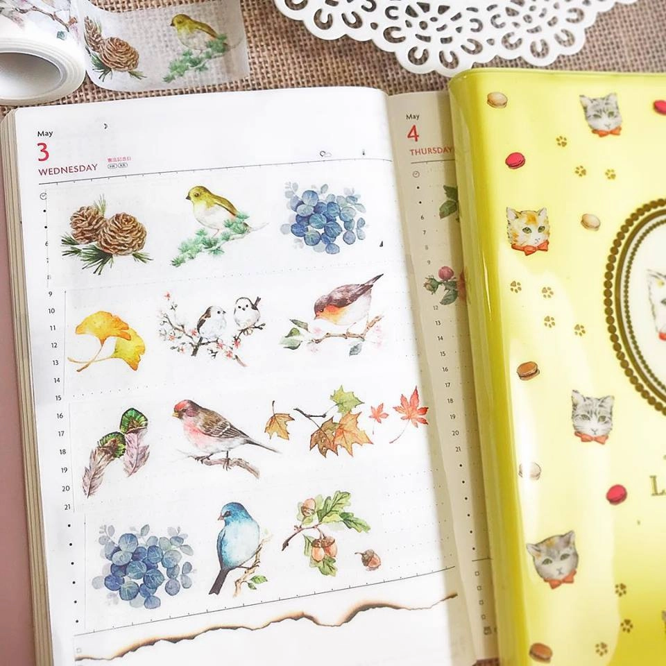 Birds Acorn Fall Leaves Ginkgo Pine Cone Washi Tape kit