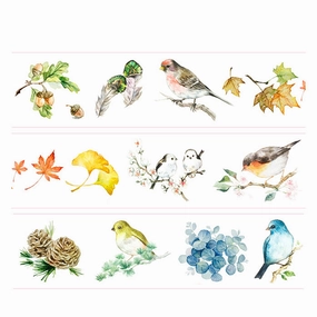 Birds Acorn Fall Leaves Ginkgo Pine Cone Washi Tape musthave