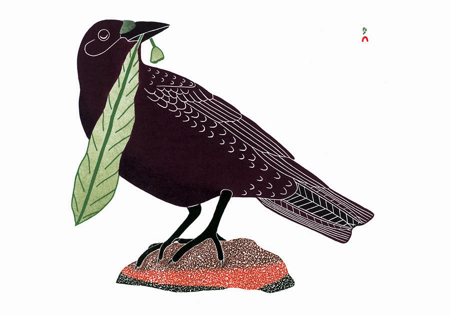 Birds of Cape Dorset - Boxed Assorted Note Cards
