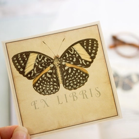 strong square Black Butterfly Bookplate Sticker