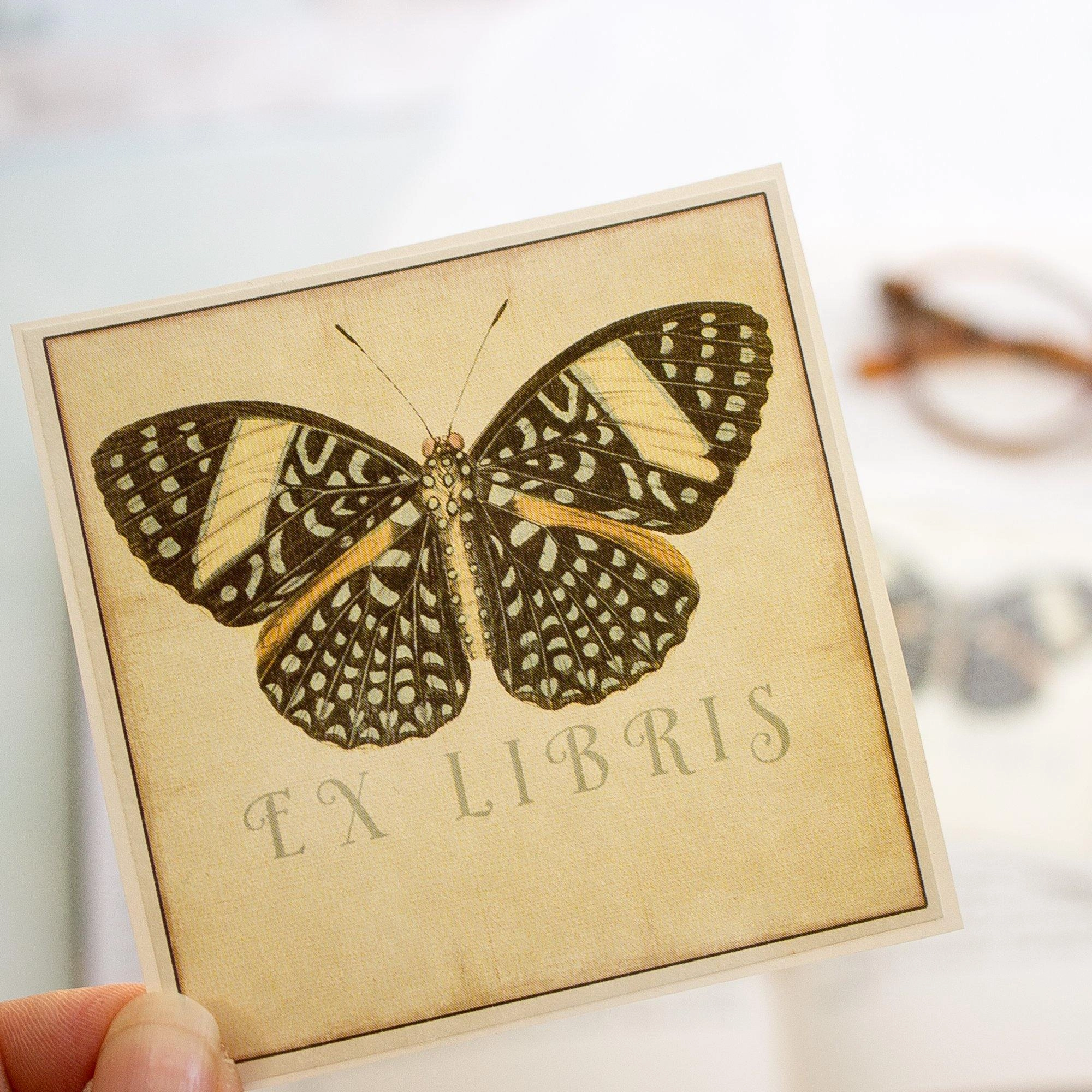 strong square Black Butterfly Bookplate Sticker