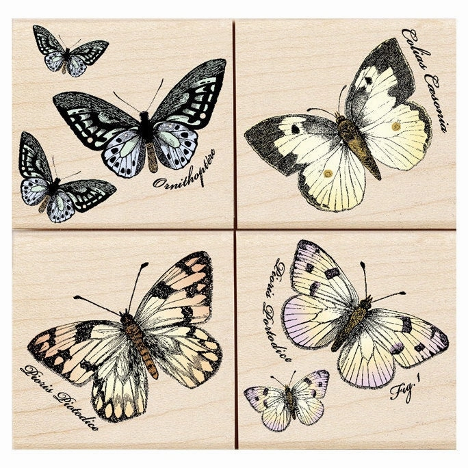 solid Papillons Stamp Set