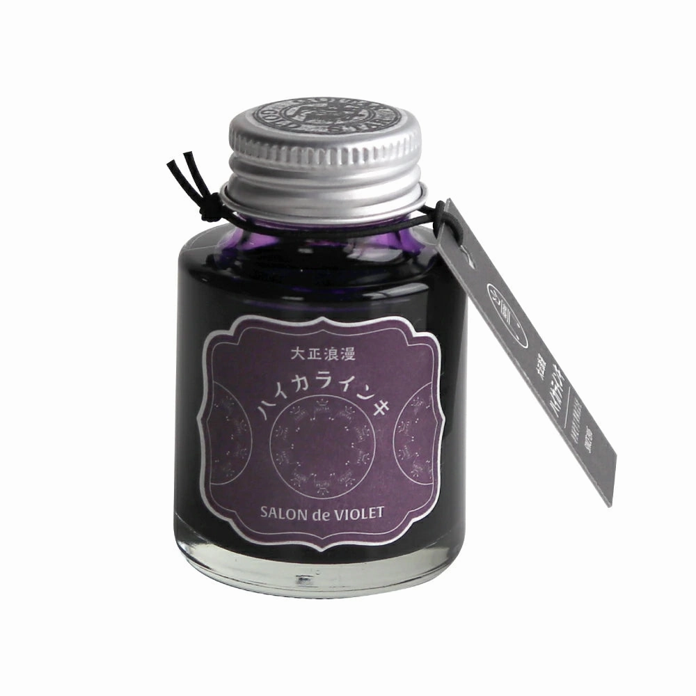 Teranishi Guitar Taisho Roman Haikara Ink - Salon De Violet - 40Ml retractable