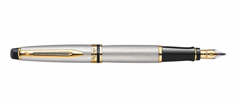 bundle Waterman Expert Stainless Steel & Gold Fountain Pen