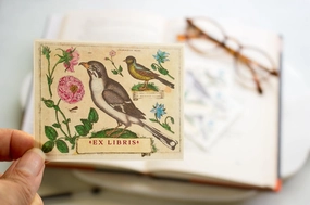 tiny Botanical Bird And Flowers Bookplate Sticker