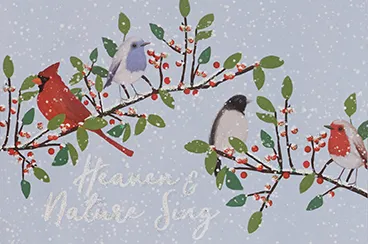 Boxed Christmas Cards - Winter Song Birds