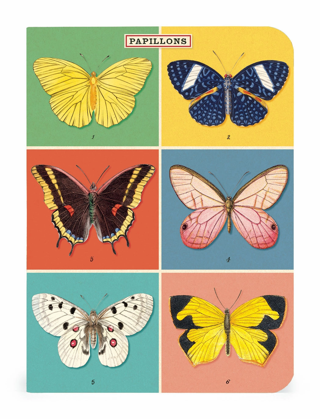 strong Cavallini & Co. Butterflies Mini Notebook Set