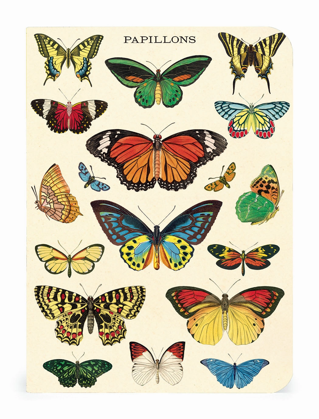 fiber square Cavallini & Co. Butterflies Mini Notebook Set