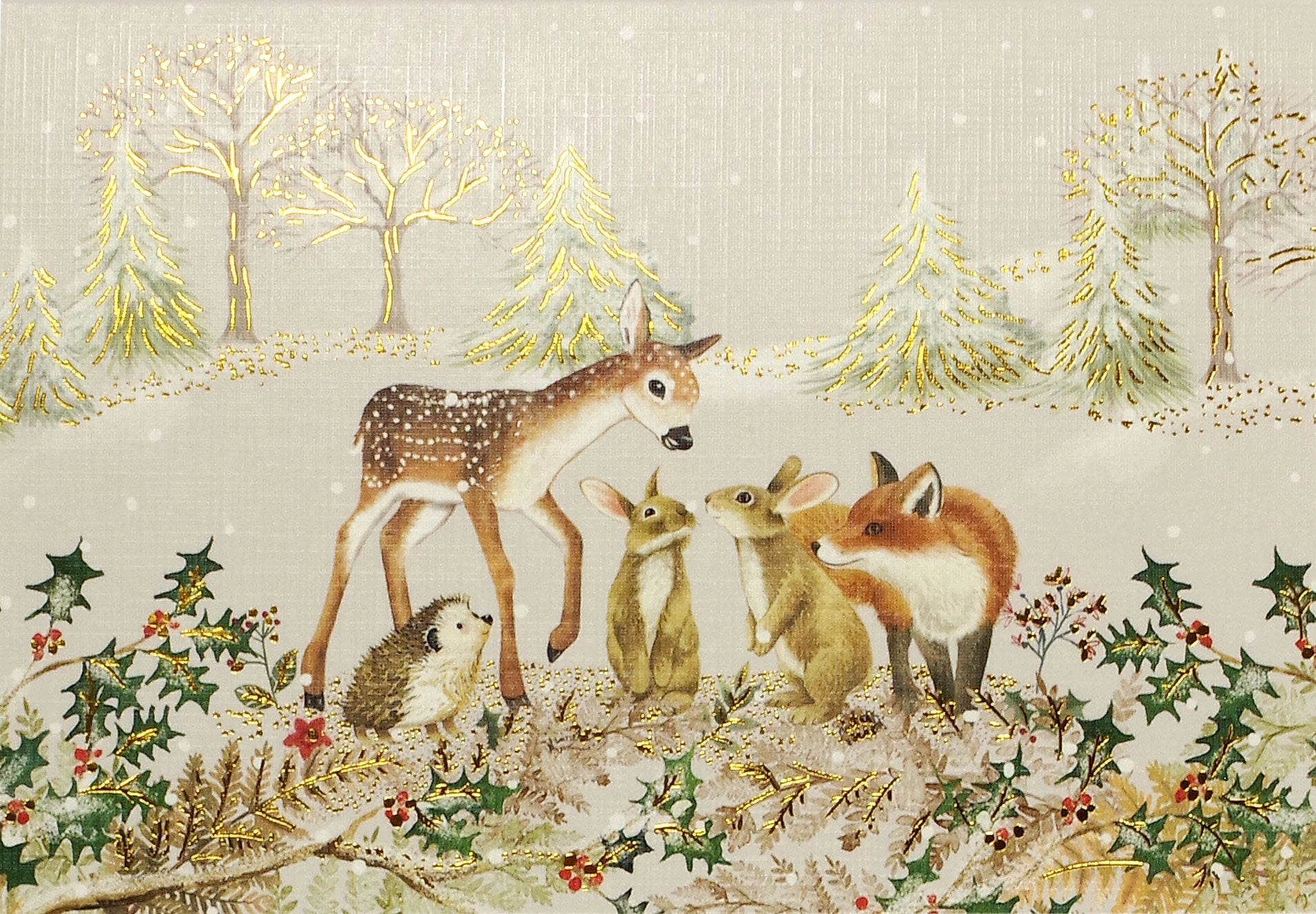 Boxed Christmas Cards - Furry Friends