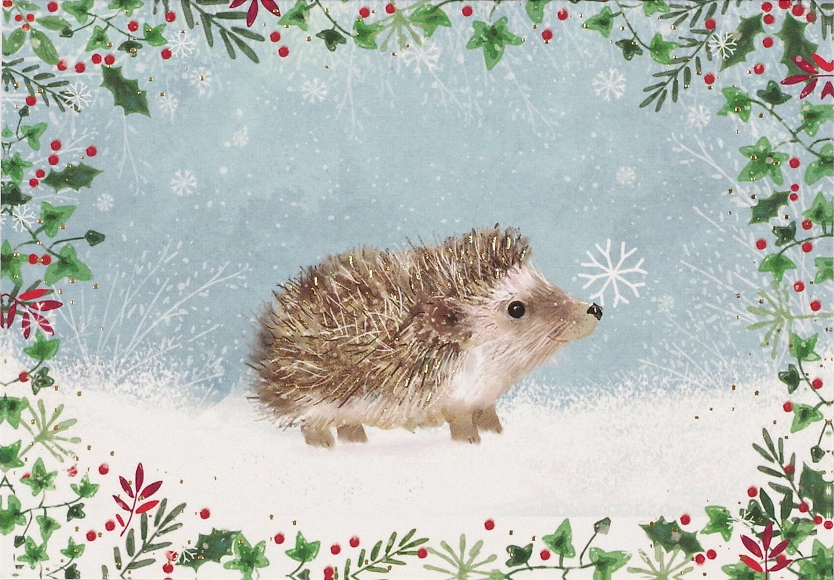 Boxed Christmas Cards - Happy Hedgehog