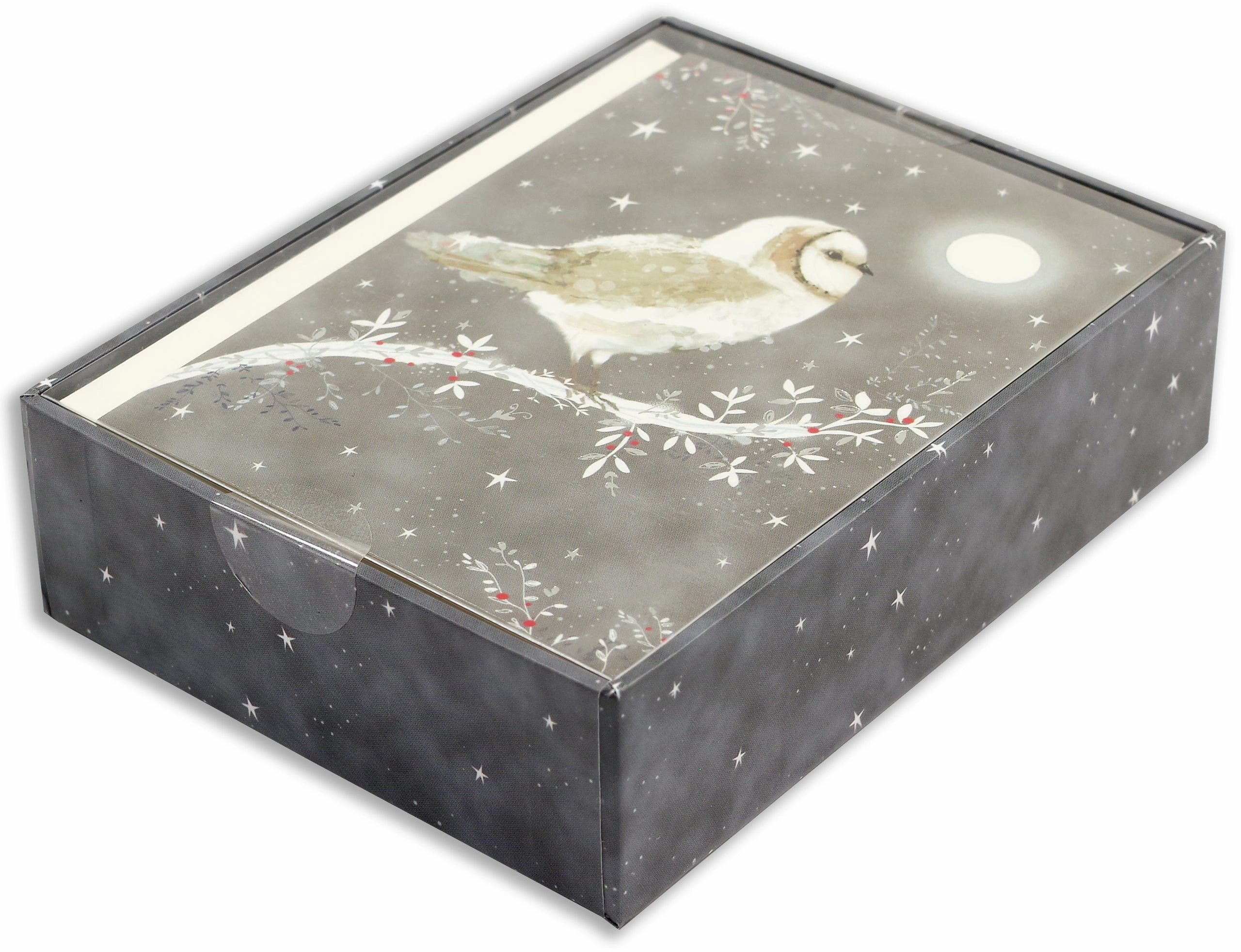 Boxed Christmas Cards - Starry Night Owl