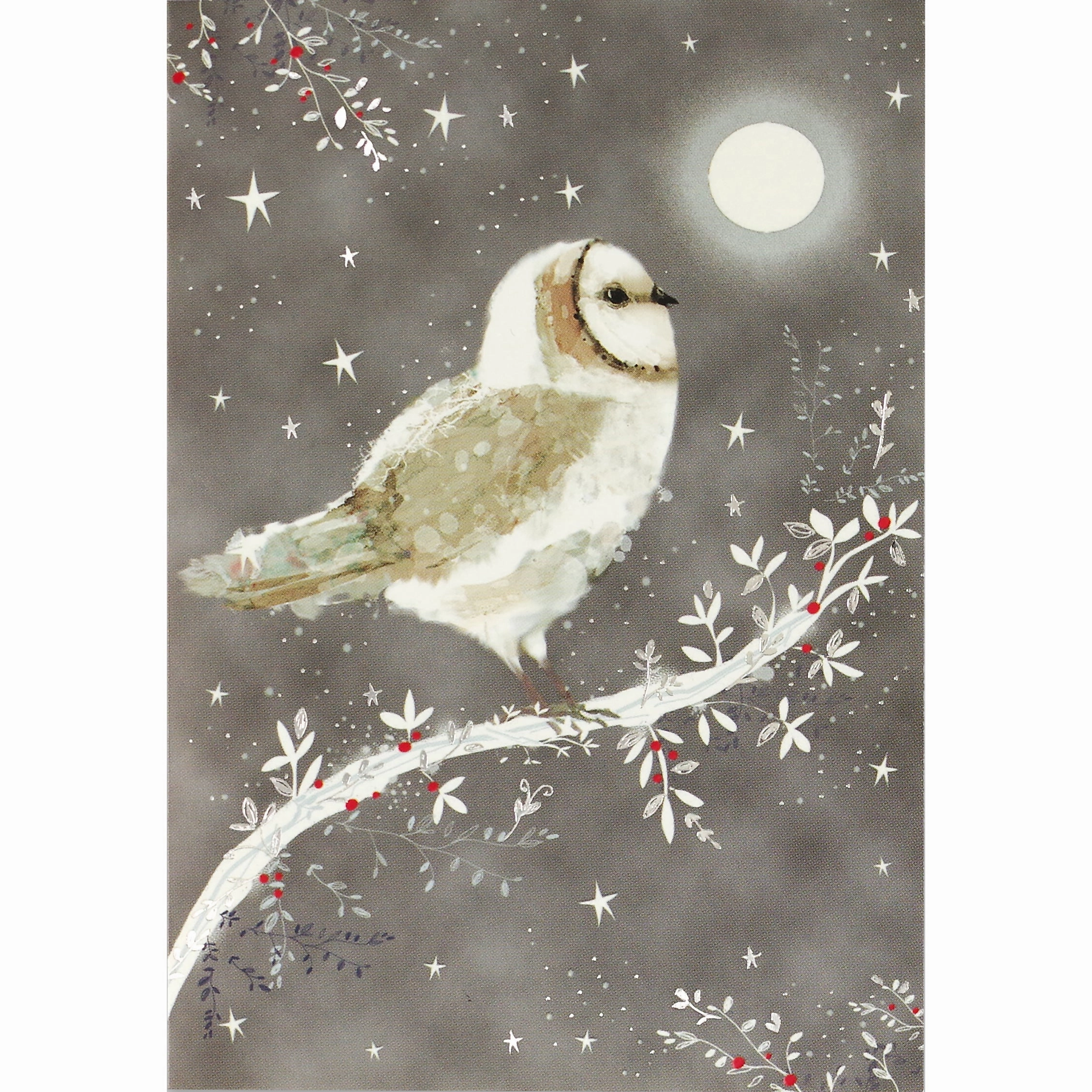 Boxed Christmas Cards - Starry Night Owl