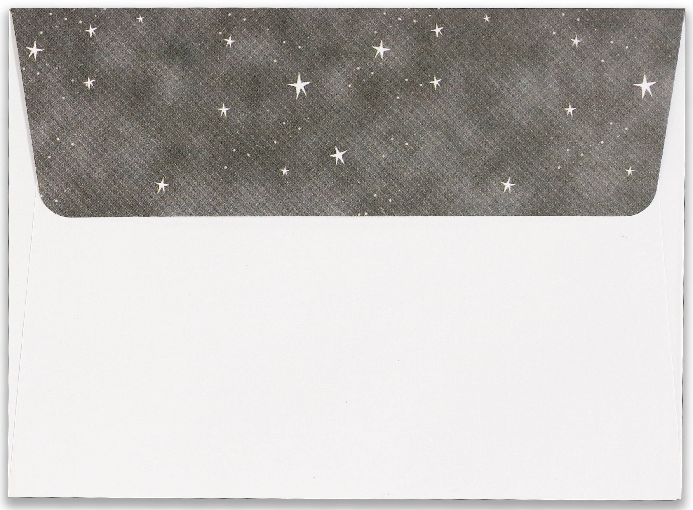 Boxed Christmas Cards - Starry Night Owl