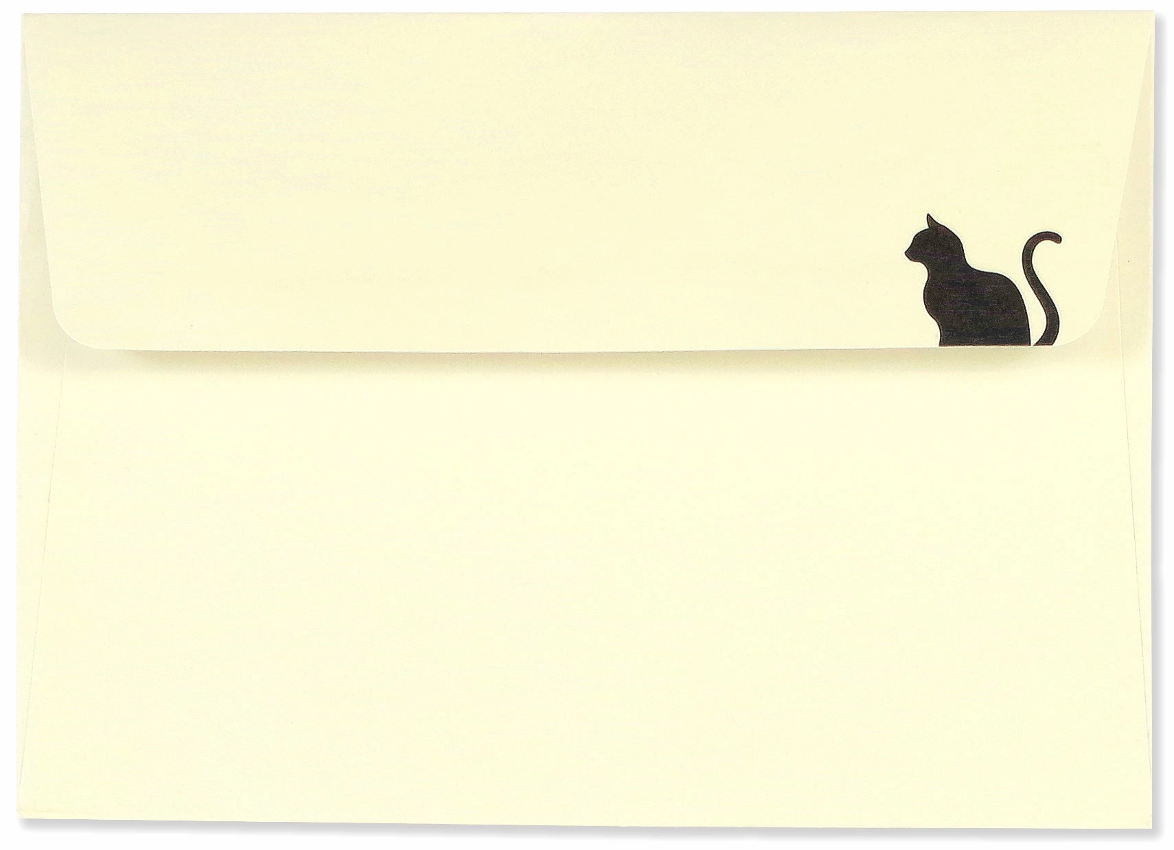 Boxed Note Cards - Black Cat