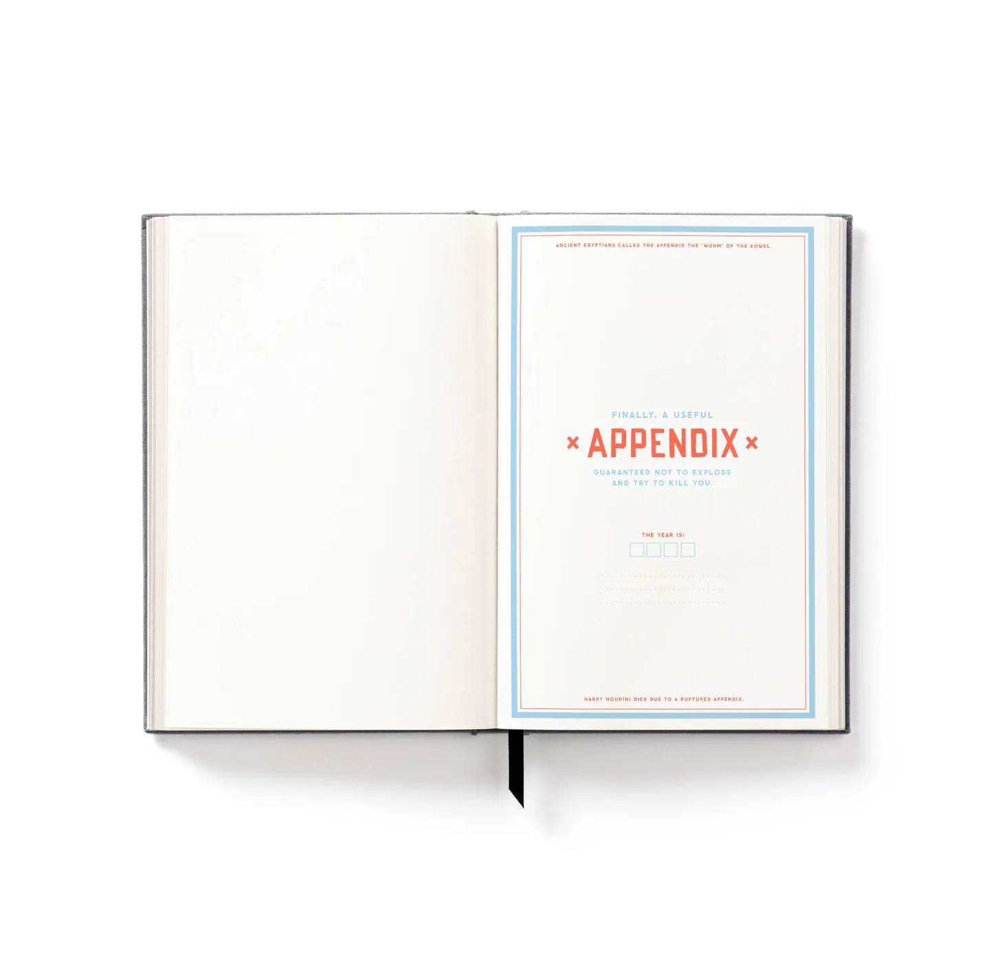 sturdy Brass Monkey The Perpetually Late Show Undated Standard Planner