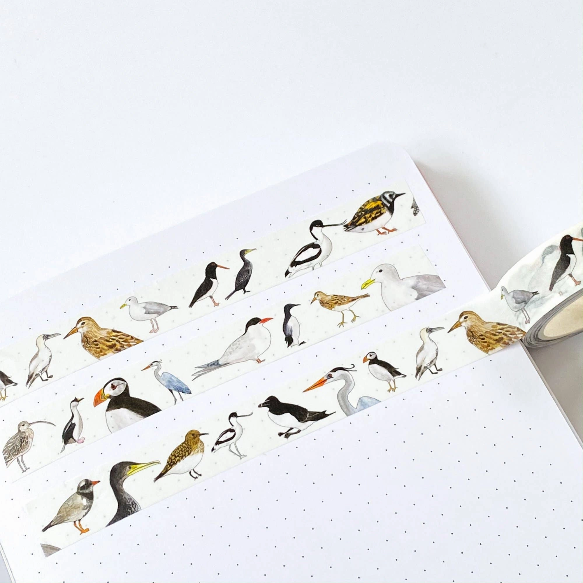 metal British Coastal Birds Washi Tape