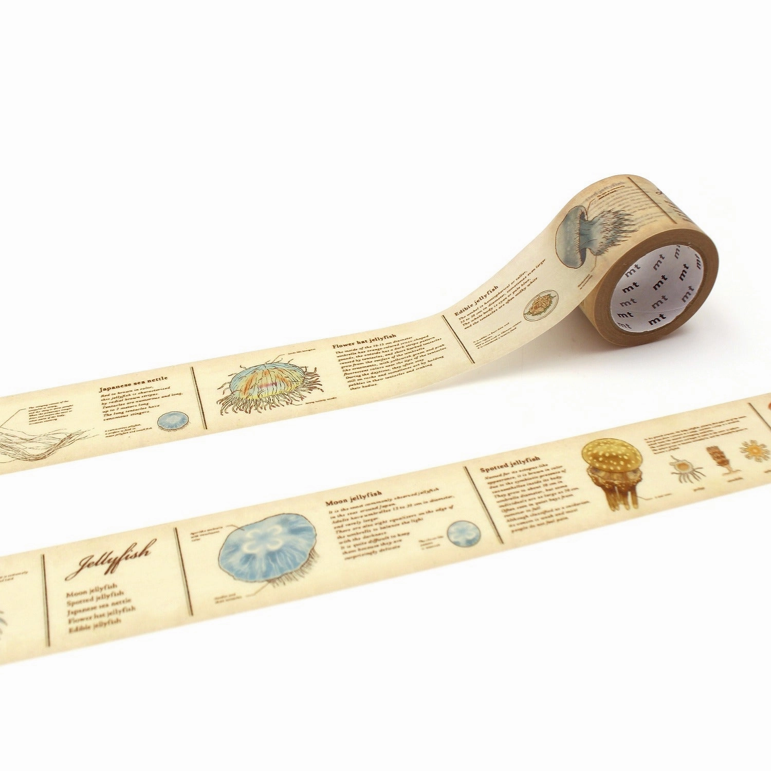 single Mt Ex Washi Tape - Encyclopedia Jellyfish