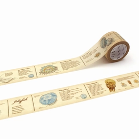 single Mt Ex Washi Tape - Encyclopedia Jellyfish