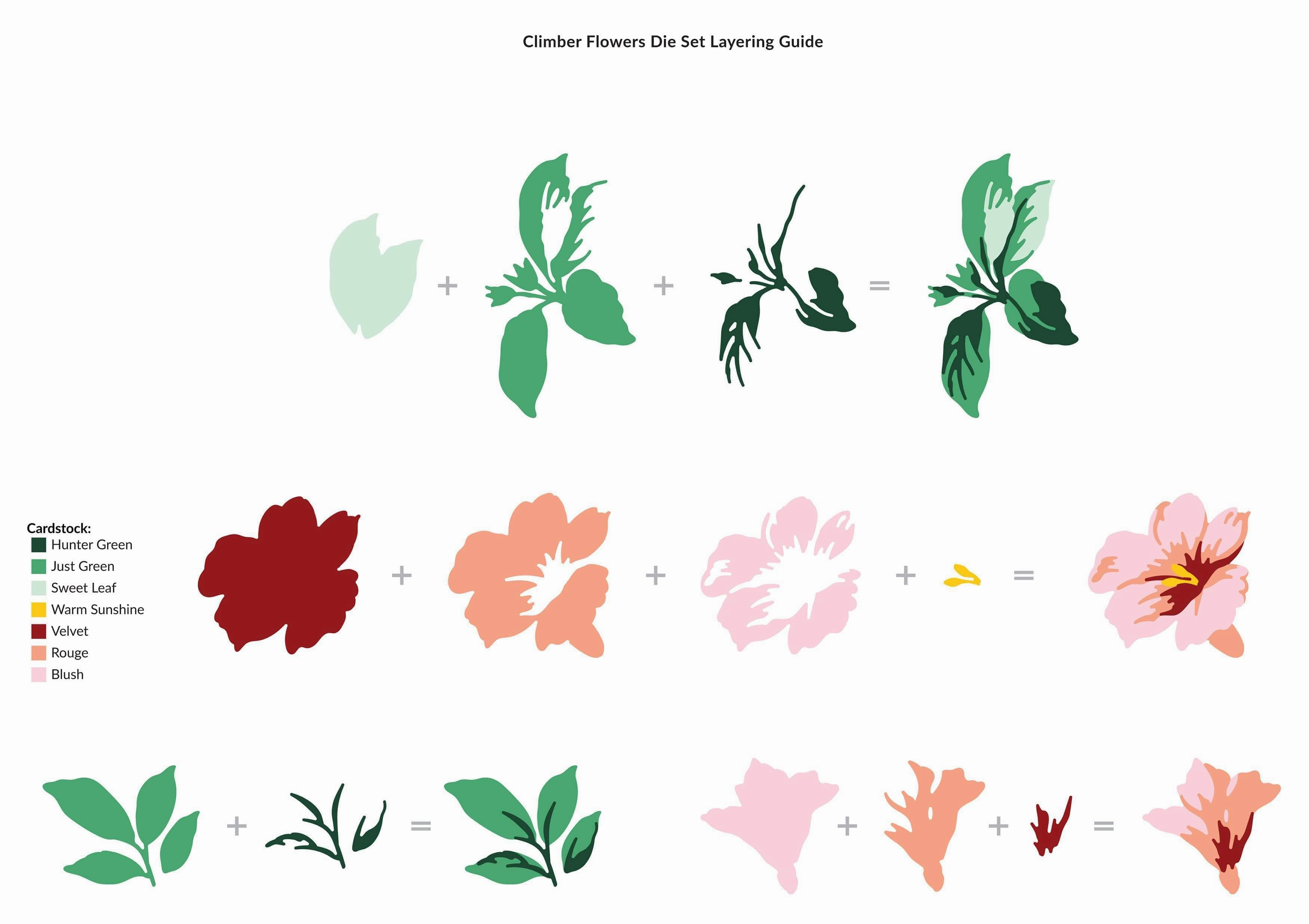 bold superior Climber Flowers Die Set