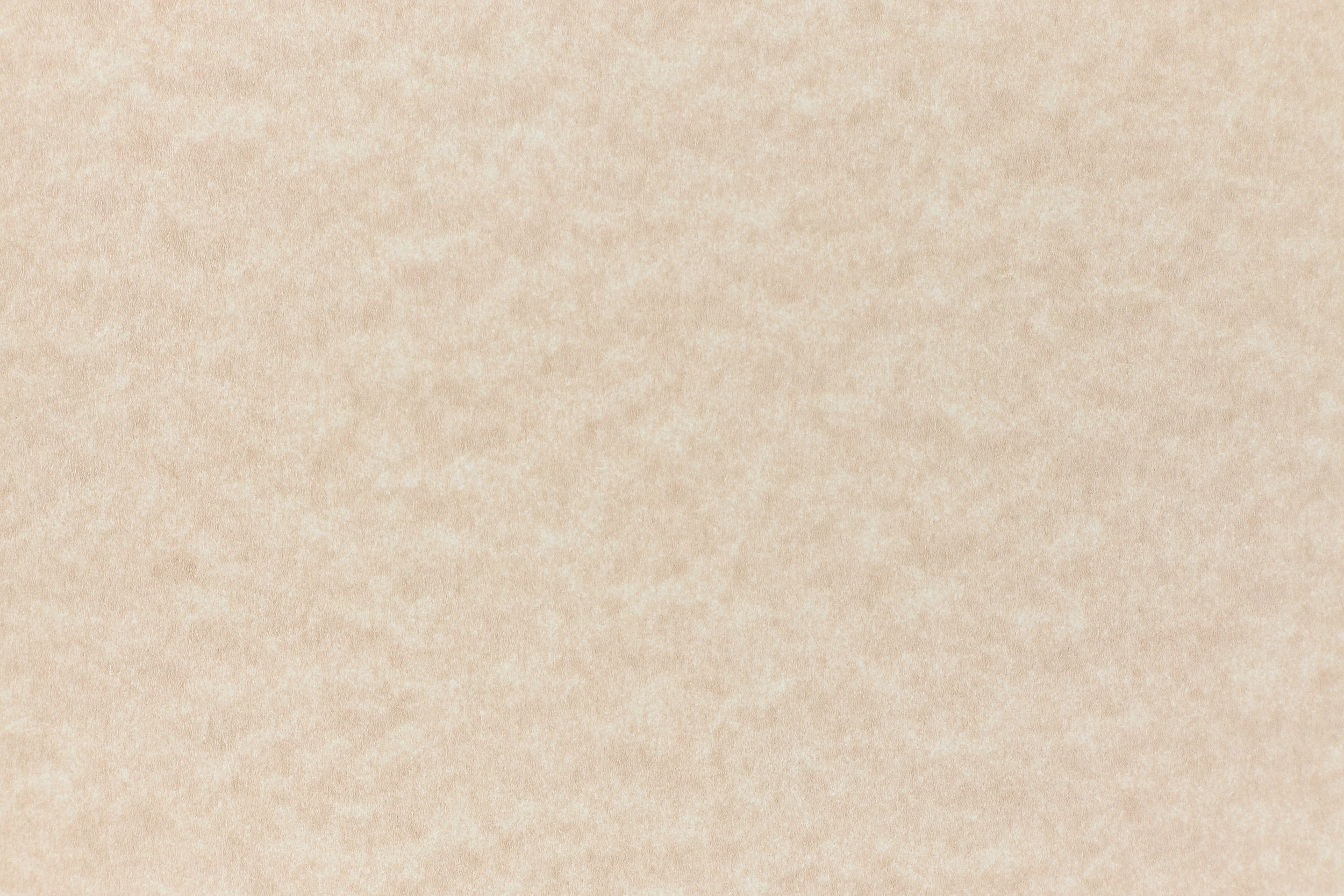 Camel Cardstock (Parchtone, Cover Weight) muted metallic