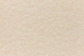 Camel Cardstock (Parchtone, Cover Weight) muted metallic