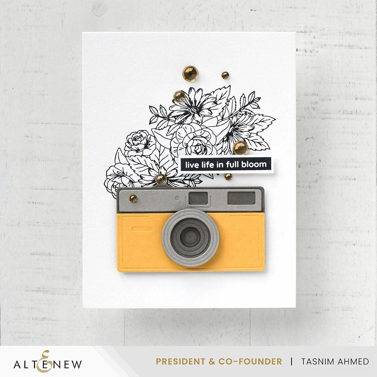 Capture Memories Layering Die Set superior