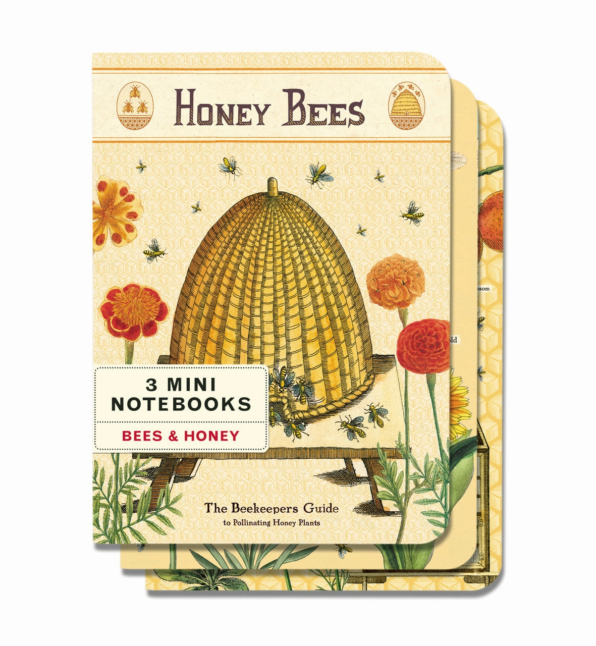 alloy heatproof Cavallini & Co. Bees & Honey Mini Notebook Set