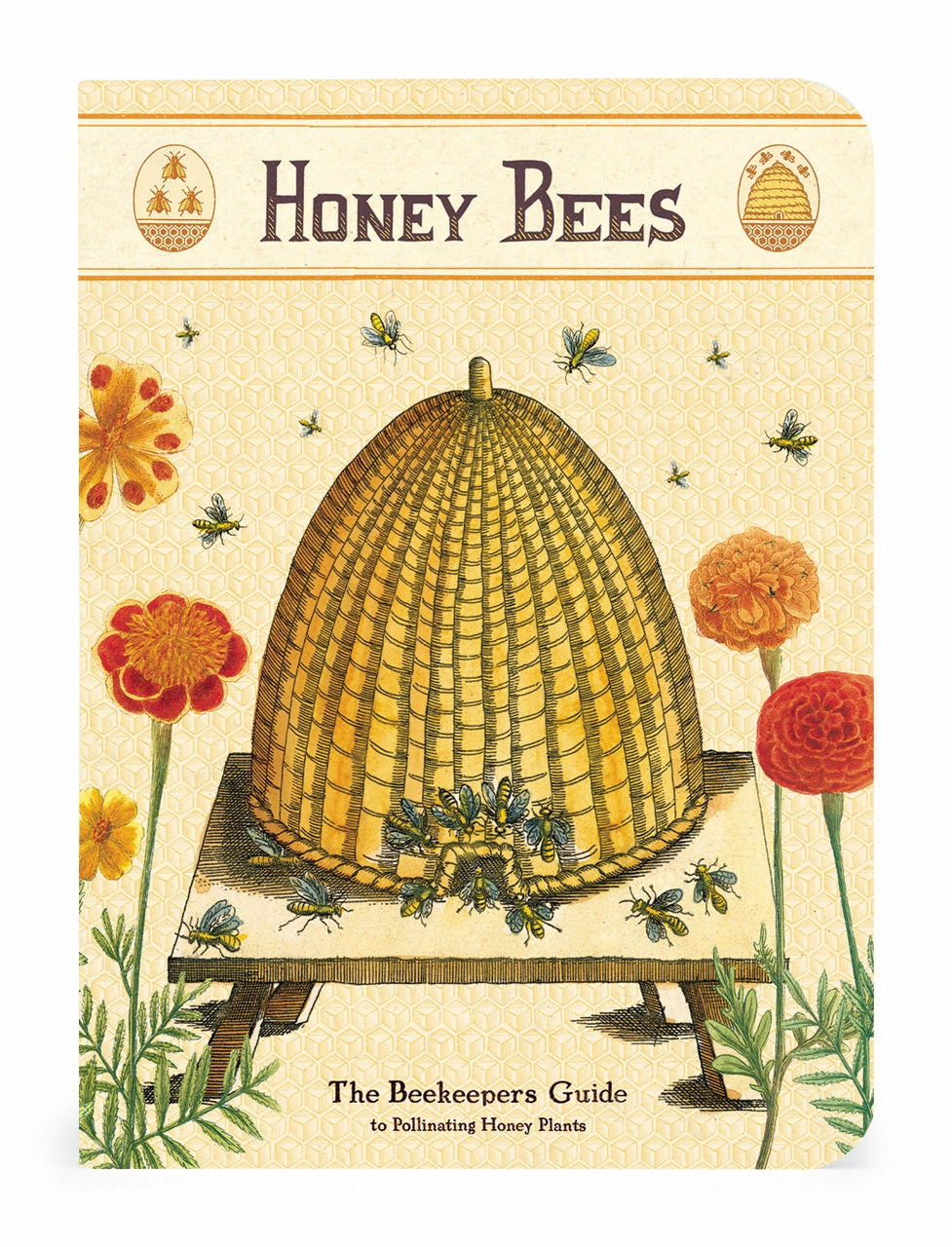 classic resilient Cavallini & Co. Bees & Honey Mini Notebook Set