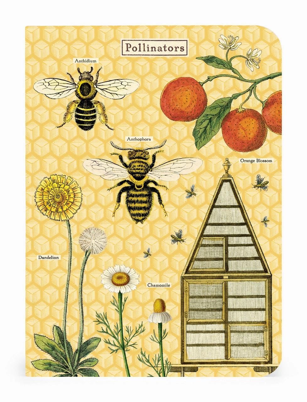 Cavallini & Co. Bees & Honey Mini Notebook Set modern steel
